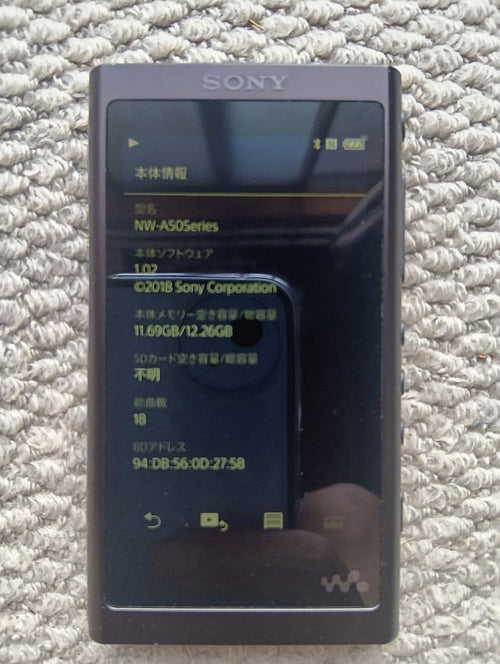 Sony Digital Audio Players Walkman Nw-A55 16Gb