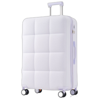 Carry Case L Tsa 360