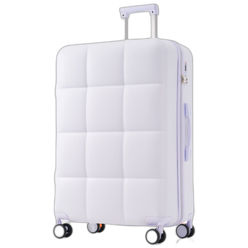 Carry Case L Tsa 360