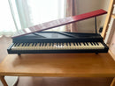 Korg Keyboard Electronic Piano Micropiano 61