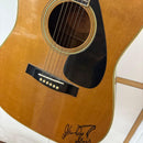 Yamaha Acoustic Guitars Fg-201B
