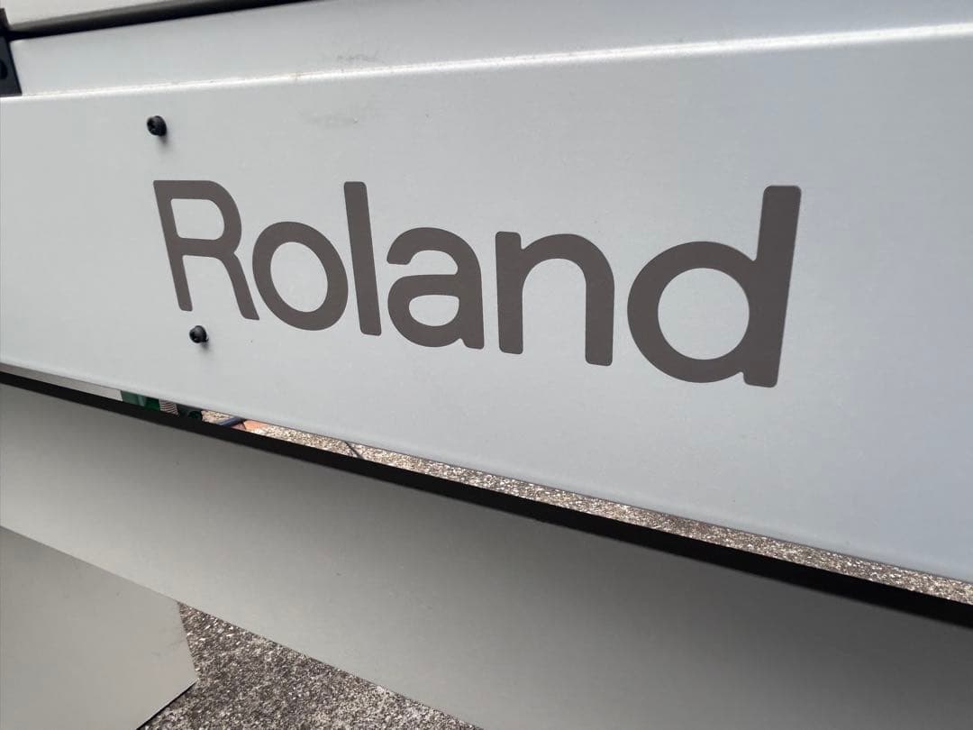 Roland Keyboards Digital Pianos F-110 2010 Ok