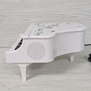 Keyboard Electronic Piano Cd Fm