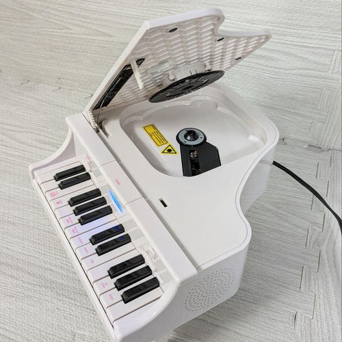 Keyboard Electronic Piano Cd Fm