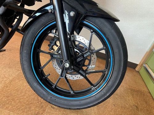 Suzuki Motorcycle Body Gsx250R