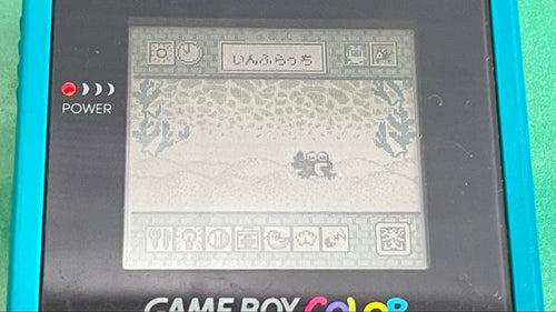 Consoles (Game Boy Color) Nintendo