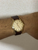 Omega Hand-Wound Watches Seamaster Cal.285