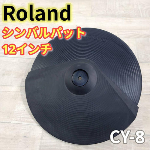 Roland Drum Pads Practice (Mute) Cy-8 12