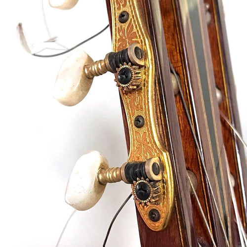 Yamaha Acoustic Guitars 1975 Gc-15S