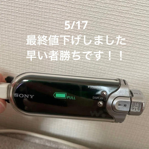 Sony Digital Audio Player Nw-E405