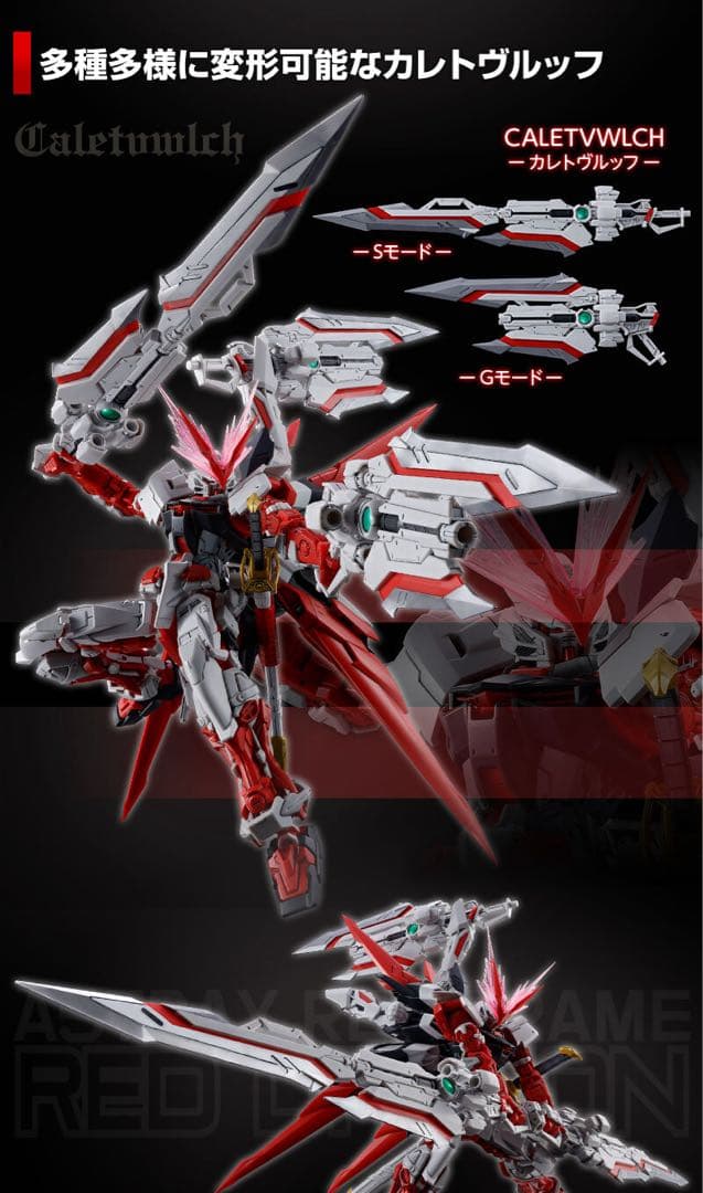 Premium Bandai Rg (Real Grade)
