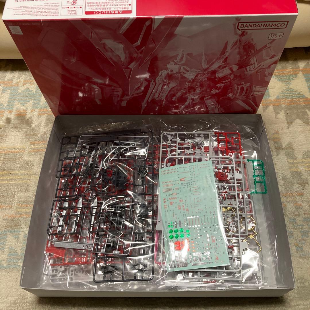 Premium Bandai Rg (Real Grade)
