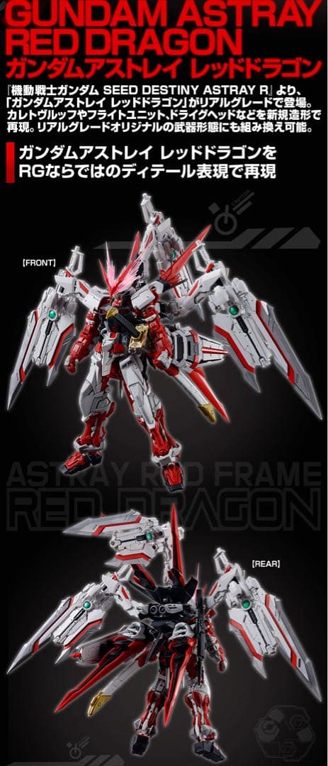 Premium Bandai Rg (Real Grade)