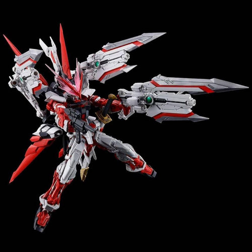 Premium Bandai Rg (Real Grade)