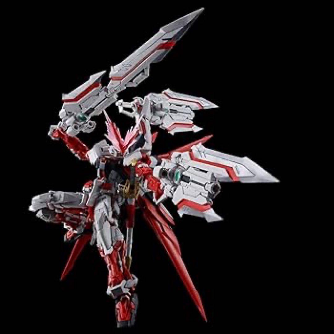 Premium Bandai Rg (Real Grade)