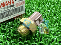 Yamaha Others 250 Genuine Ob