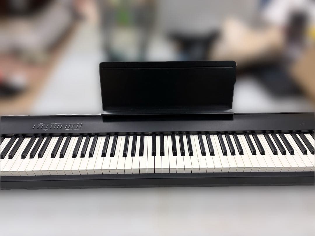 Roland Others Fp-30X 88 22