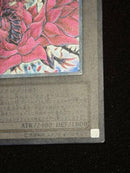 Yu-Gi-Oh! Ocg Duel Monsters (Japanese)