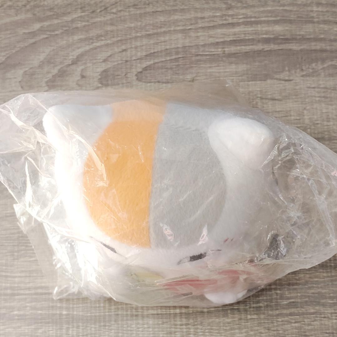 Plush Toys Stuffed C 2