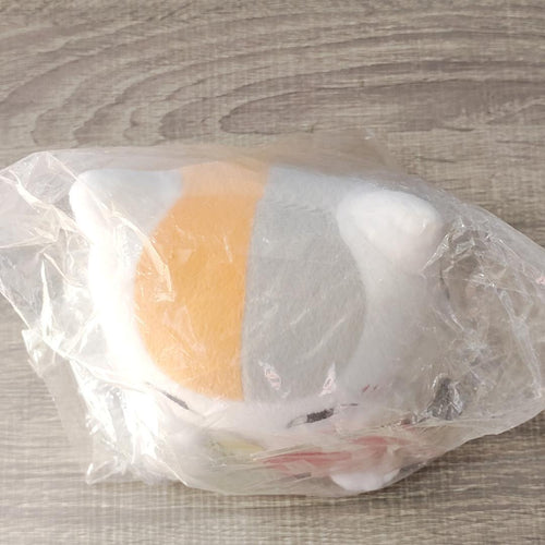 Plush Toys Stuffed C 2