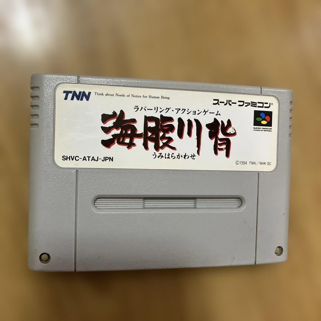 Nintendo Soft