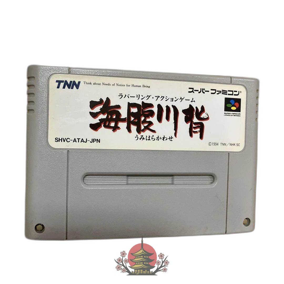 Nintendo Soft