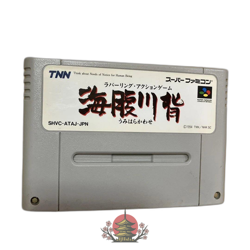 Nintendo Soft