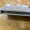 Nintendo Soft