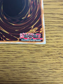 Yu -Gi -Oh! Ocg Duel Monsters (Foreign Language Version) 1St