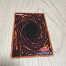 Yu-Gi-Oh! Ocg Duel Monsters (Japanese)