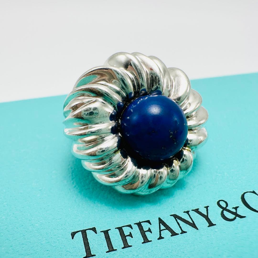 Tiffany Clip-On Earrings