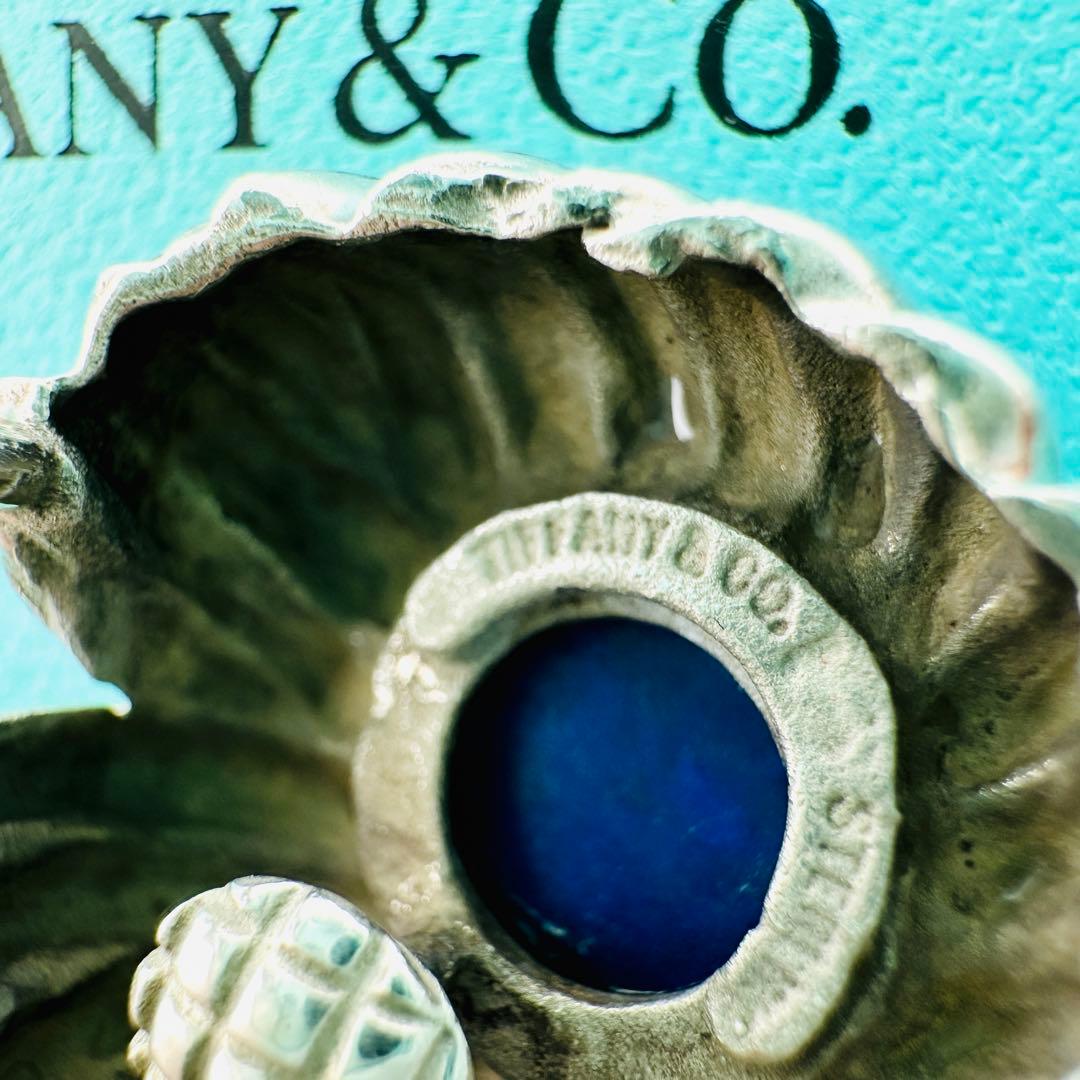 Tiffany Clip-On Earrings