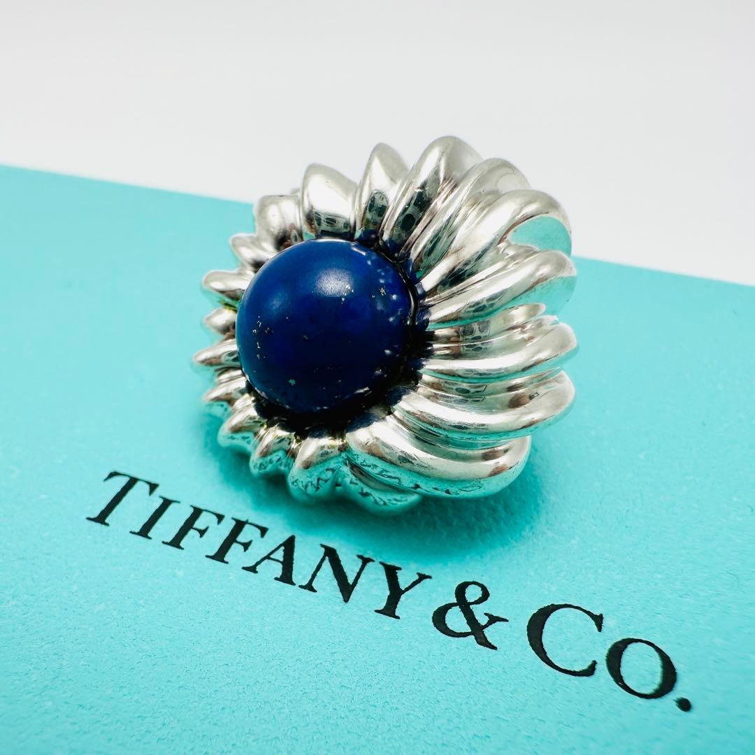 Tiffany Clip-On Earrings