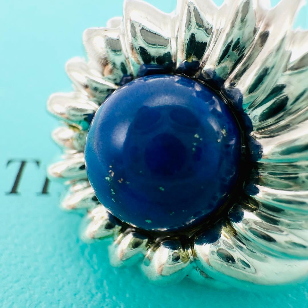 Tiffany Clip-On Earrings