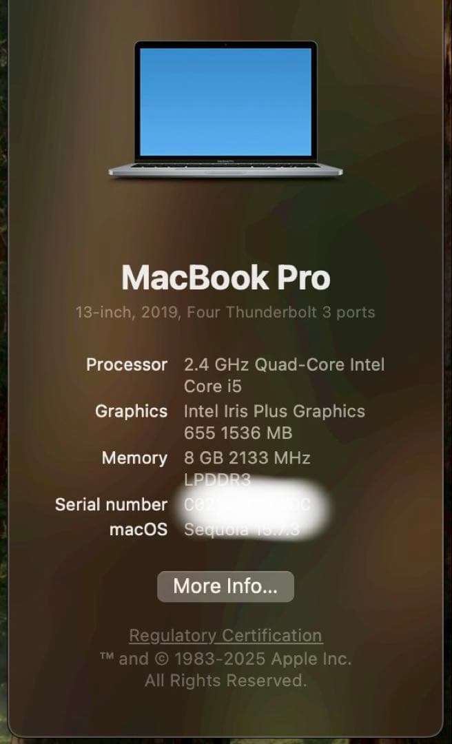 Apple Macbook Body Pro 2019 13Inchthunderbolt3 X4