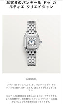 Cartier Metal Straps Sm
