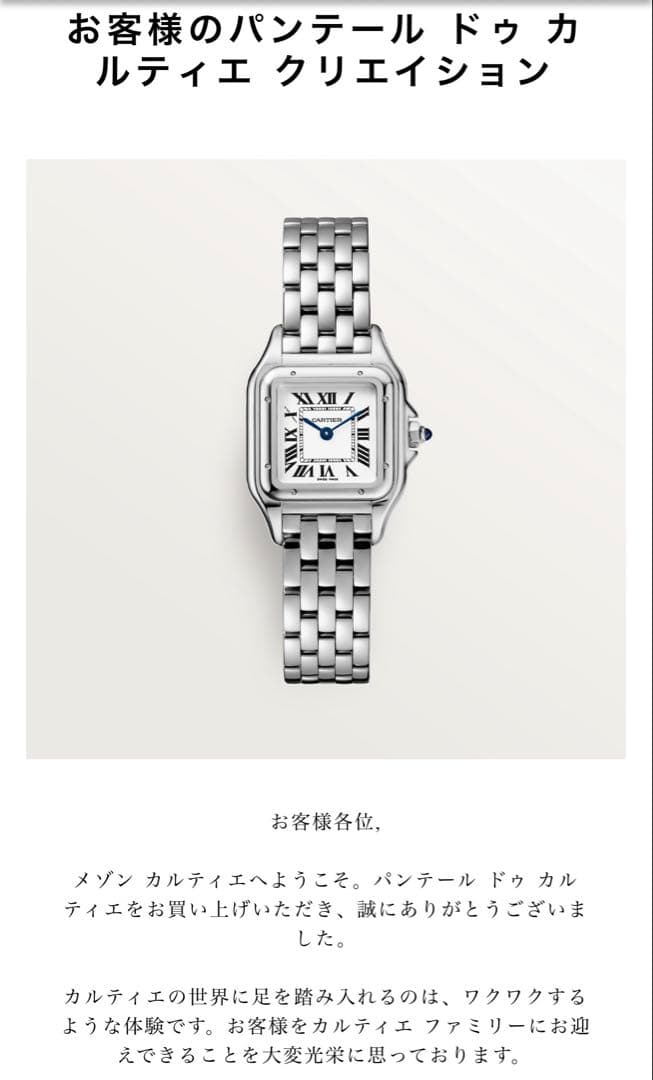 Cartier Metal Straps Sm