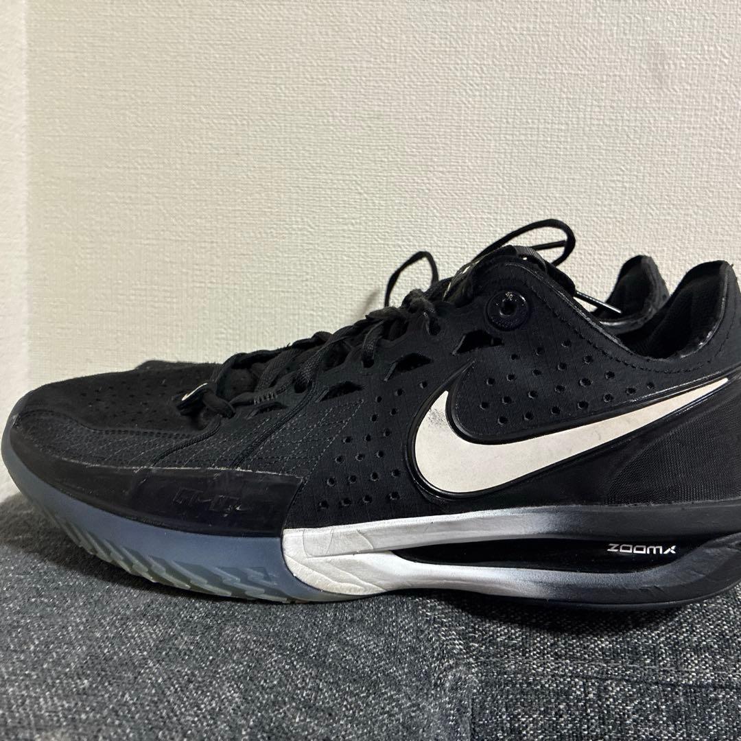 Nike Shoes (Men) Zoomx