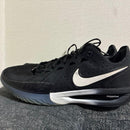Nike Shoes (Men) Zoomx
