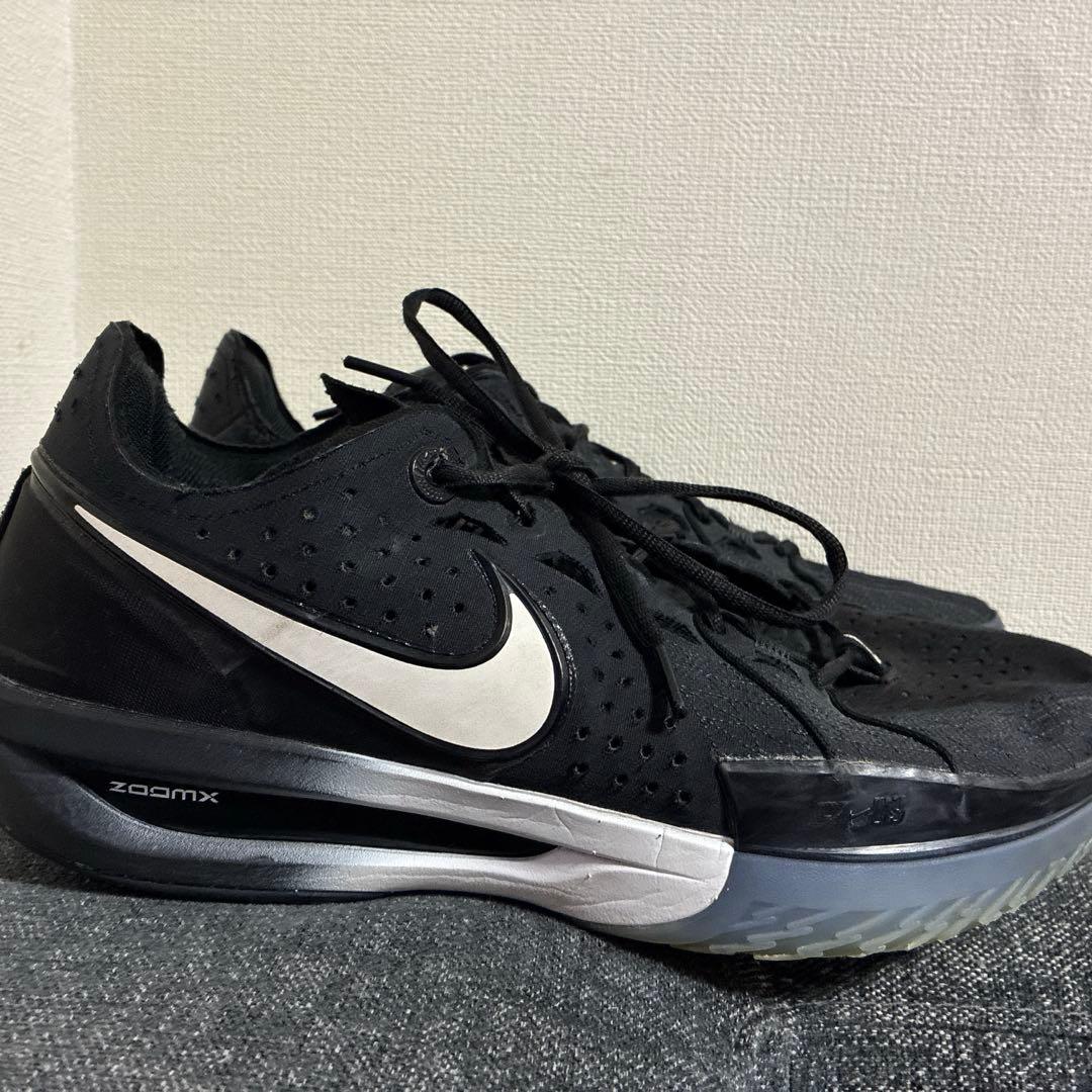 Nike Shoes (Men) Zoomx