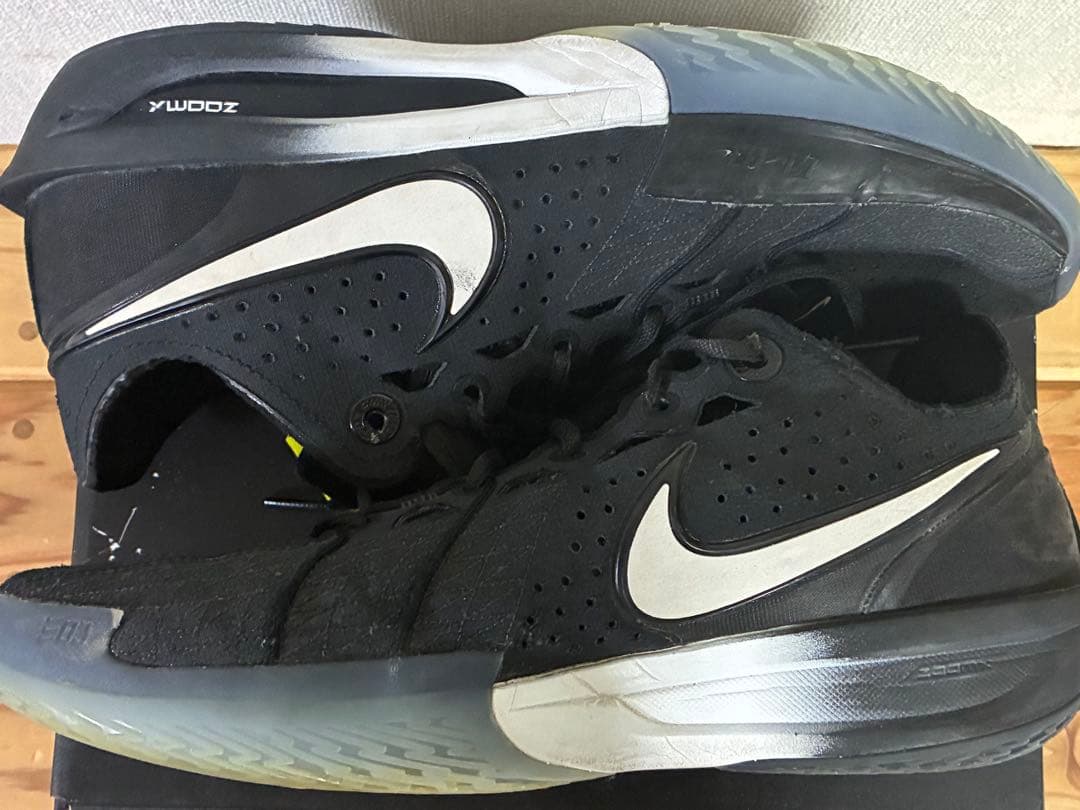 Nike Shoes (Men) Zoomx