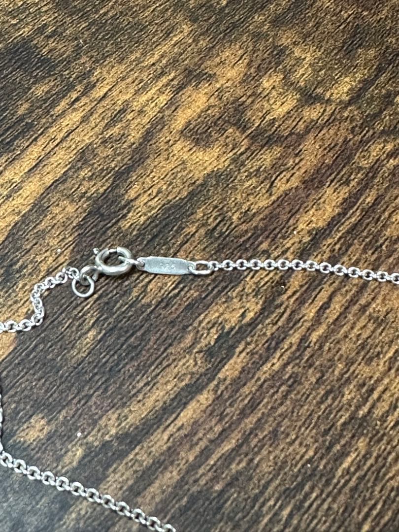 Tiffany Necklaces Y2K