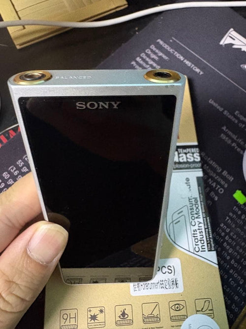 Sony Digital Audio Players Walkman Nw-Zx507