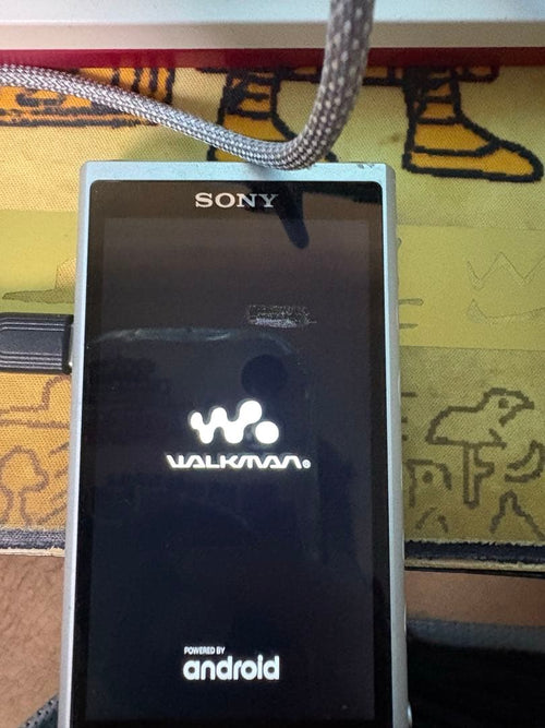 Sony Digital Audio Players Walkman Nw-Zx507