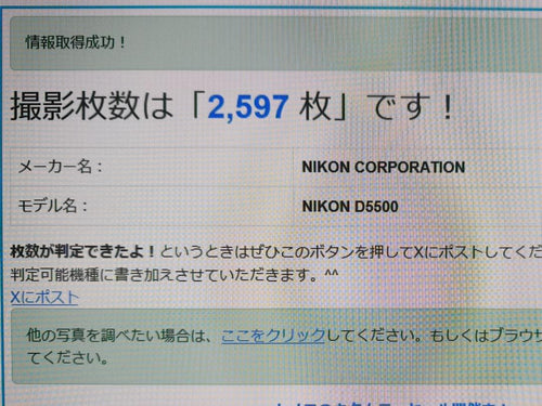 Nikon Digital Slrs D5500 18-55 Vr