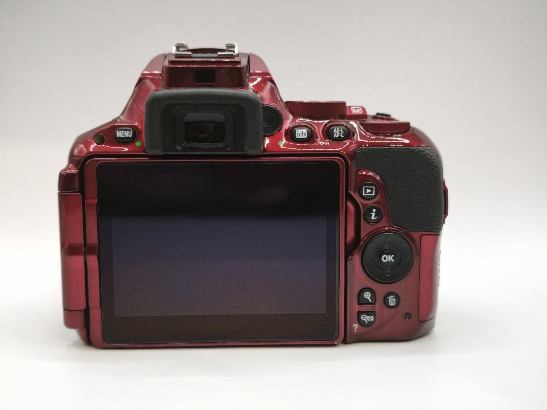Nikon Digital Slrs D5500 18-55 Vr