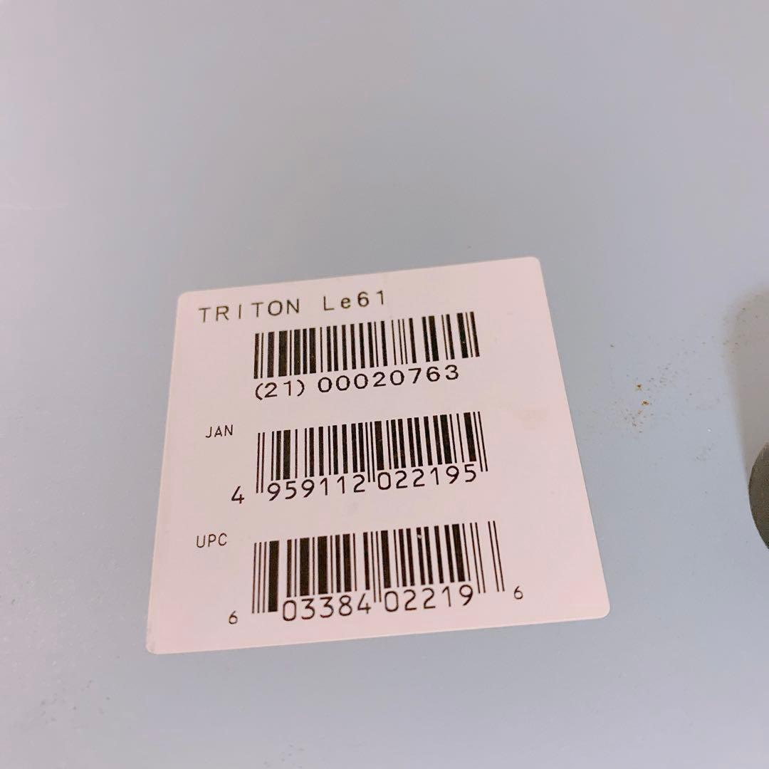 Korg Modular Synthesizer 61 Triton Le61