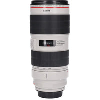 Canon Lens (Single Focus)