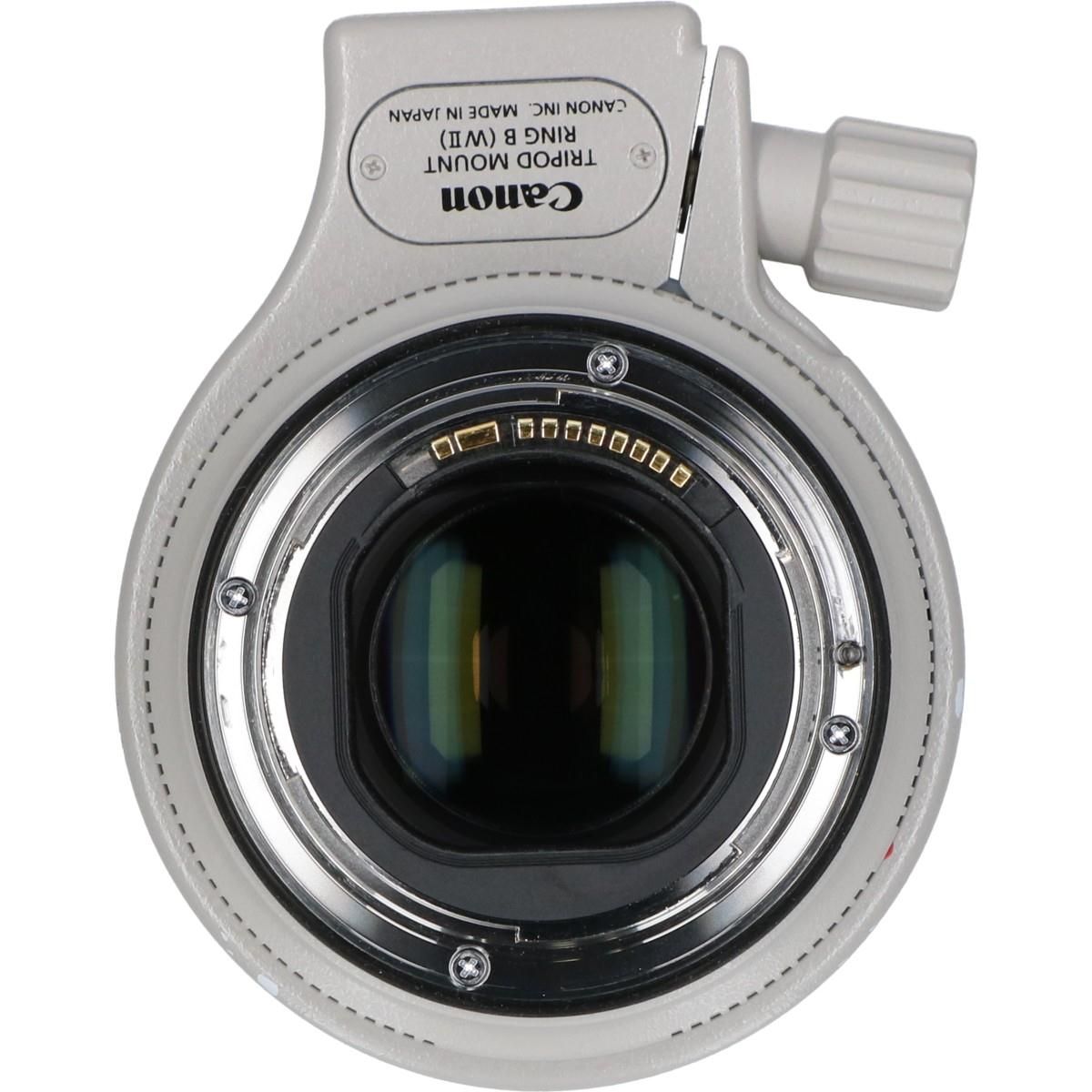 Canon Lens (Single Focus)