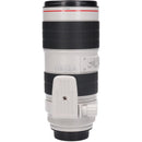 Canon Lens (Single Focus)